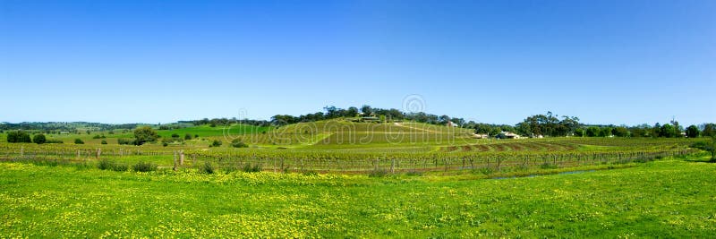 The Barossa Valley Wine Region. The Barossa Valley Wine Region