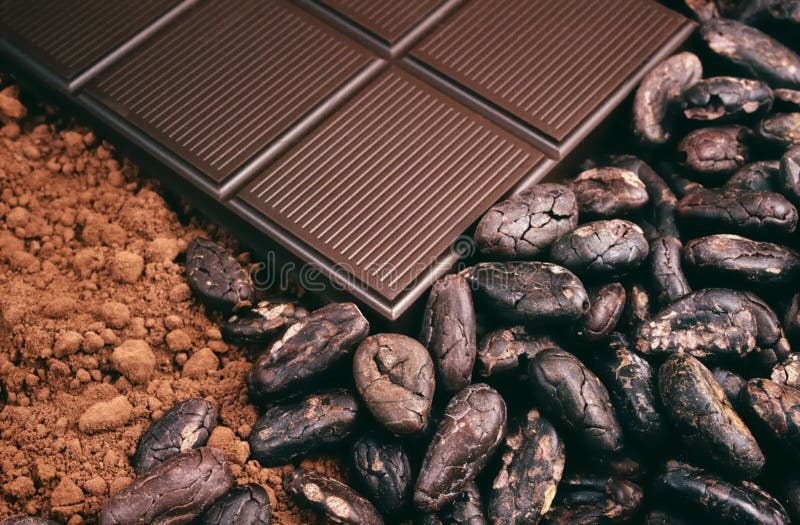 Barra de chocolate, feijões de cacau, pó de cacau imagem de stock Barra de chocolate, feijões de cacau, pó de cacau imagem de stock