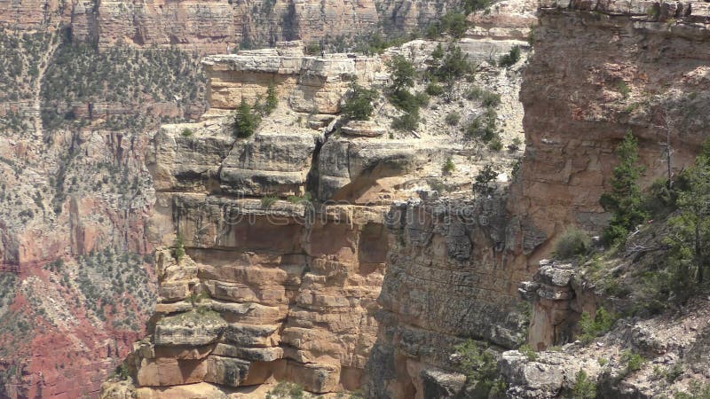 Barranca magnífica Arizona metrajes