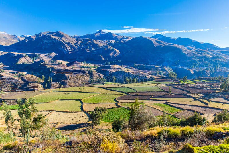 Colca Canyon, Peru,South America. Incas to build Farming terraces with Pond and Cliff. One of deepest canyons in world. Colca Canyon, Peru,South America. Incas to build Farming terraces with Pond and Cliff. One of deepest canyons in world