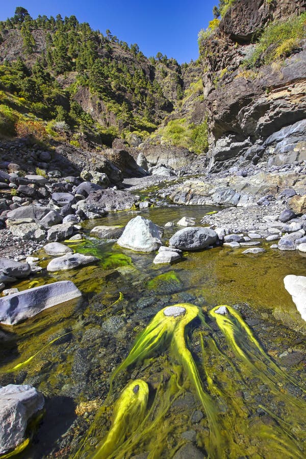 Barranco de las angustias caldera de taburiente national park ισπανία στοκ εικόνα με δικαίωμα ελεύθερης χρήσης