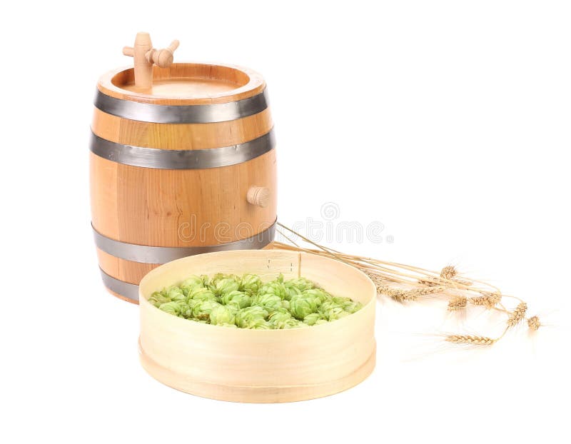 Barrel and sieve with hop. stock photo. Image of barrel 43158556