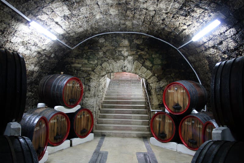 Wine Barrels Stacked in Winery Straight View Stock Image Image of