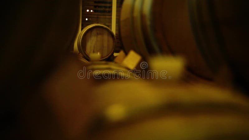 Barrels_002