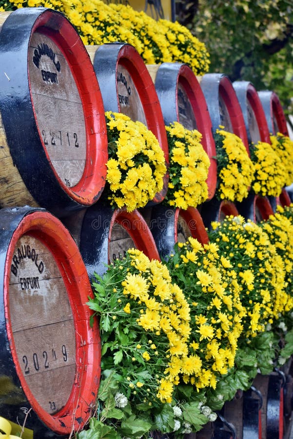 Barrels of Beer and Flowers on the Wagon. Editorial Stock Photo Image
