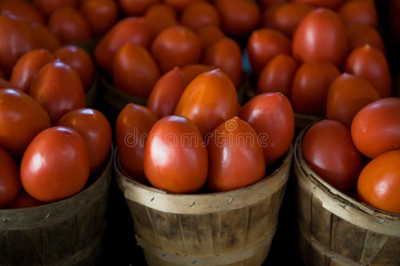 Barrels of juicy fresh tomatoes