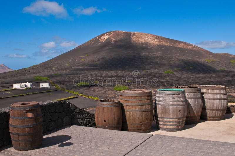 Barrels of Lanzarote Wine royalty free stock images Barrels of Lanzarote Wine royalty free stock images