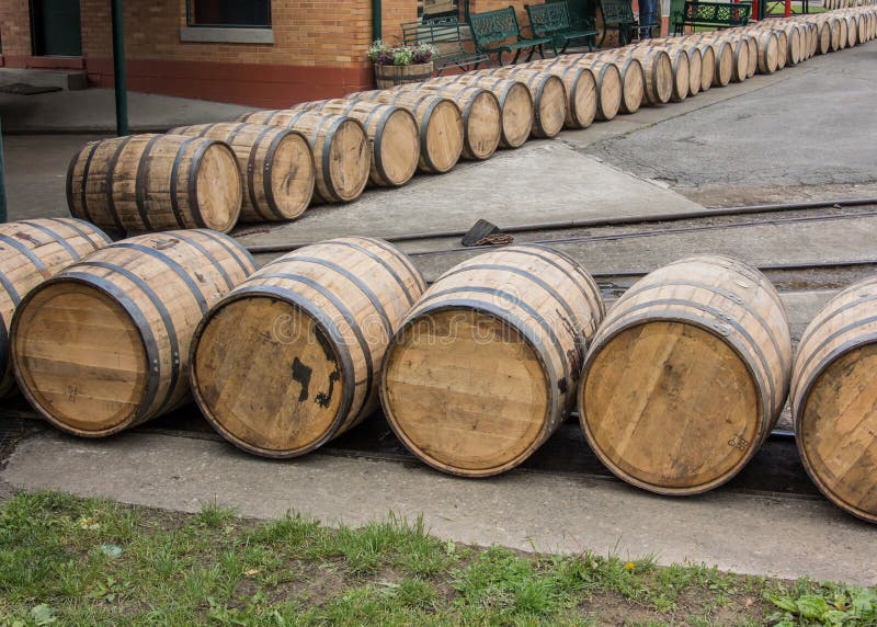 Barrels in the distillery stock photo. Image of quality 4963550