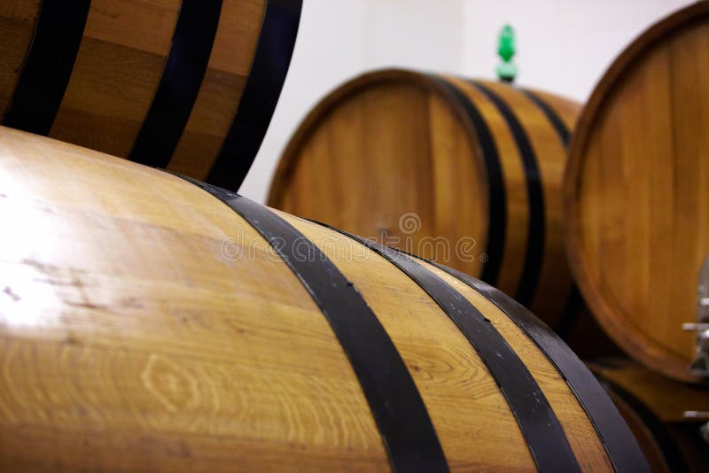 Wine Barrels stock photo. Image of testing, barbaresco 2588940