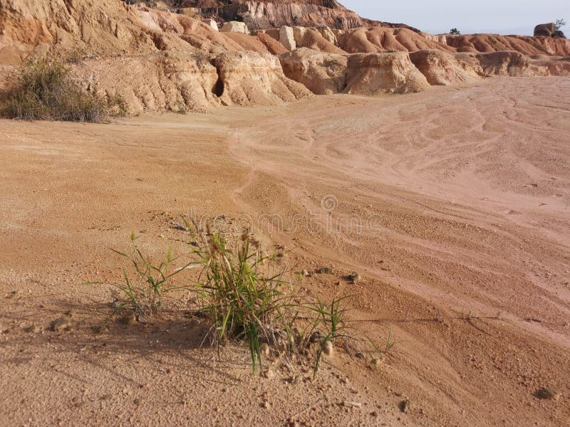 Barren Land Due To Erosion after Deforestation Stock Image Image of