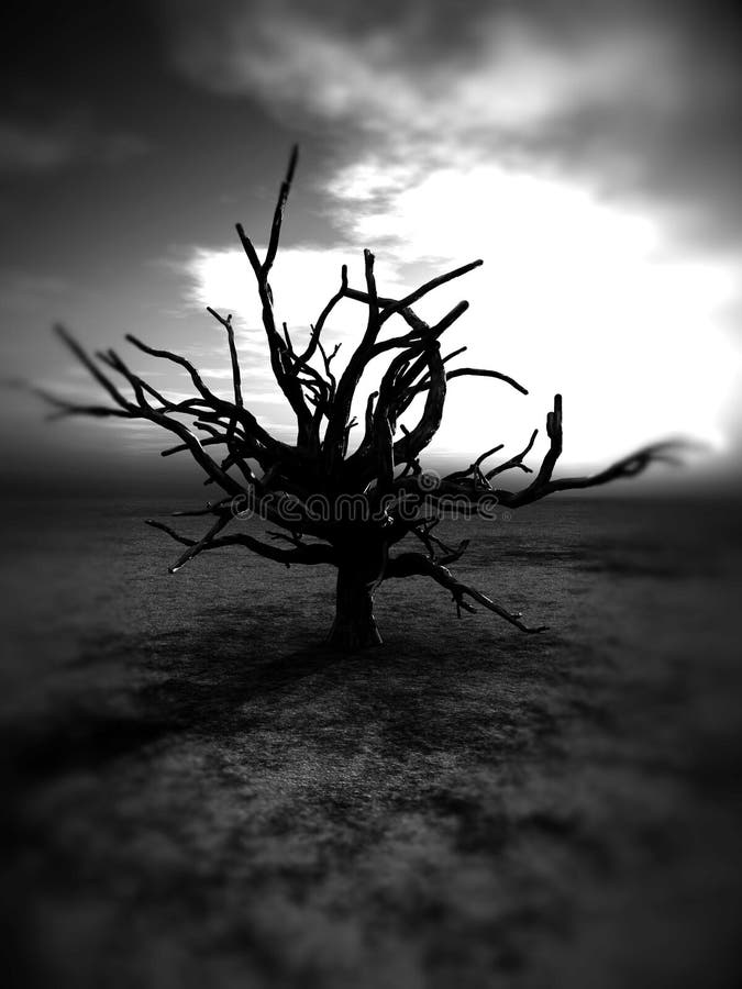 Barren Tree 235