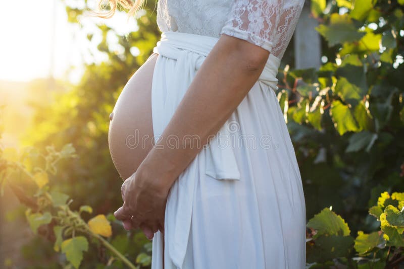Barriga da menina grávida no jardim com uvas imagem de stock Barriga da menina grávida no jardim com uvas imagem de stock