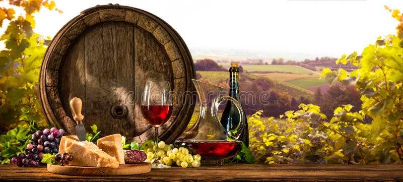 Barril de vino en viñedo imágenes de archivo libres de regalías Barril de vino en viñedo imágenes de archivo libres de regalías