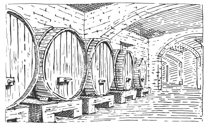 Barriles de vino en ejemplo de mirada grabado, del vector del vintage del sótano el viejo estilo dibujado mano del scratchboard stock de ilustración