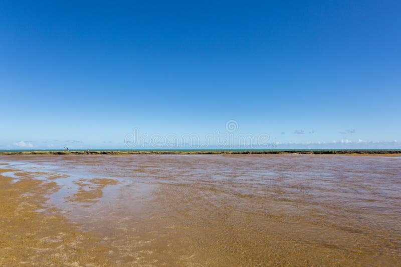 Barrière de coraux sur la plage photo libre de droits Barrière de coraux sur la plage photo libre de droits