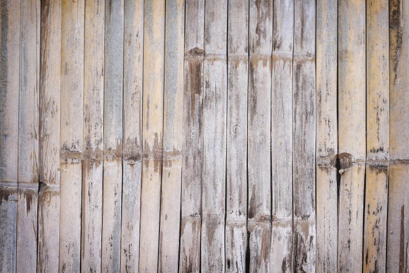 Barrière en bambou de texture, fond naturel, mur en bois brun clair photos libres de droits Barrière en bambou de texture, fond naturel, mur en bois brun clair photos libres de droits