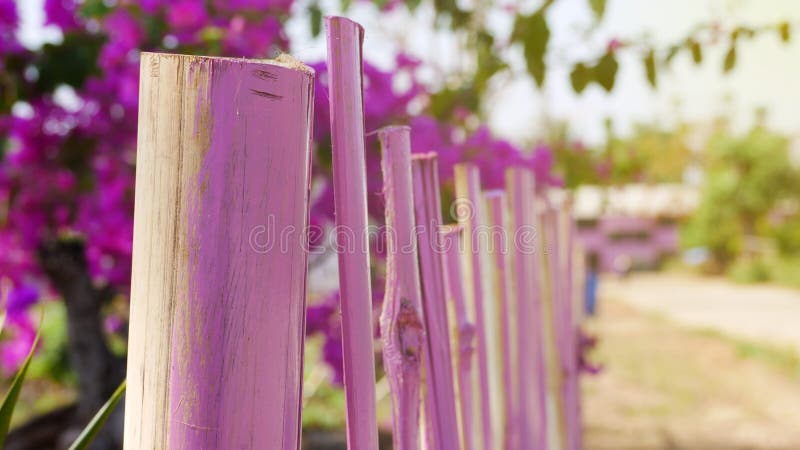 Barrière en bambou rose image stock Barrière en bambou rose image stock