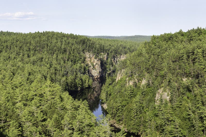 kayaking in algonquin park stock image. image of trees