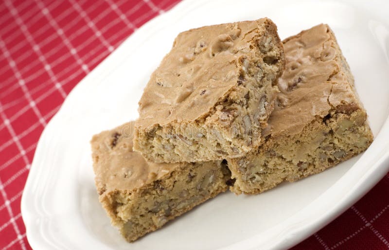 Delicious homemade Caramel Pecan Bars on a plate with red checked tablecloth, diagonal viewpoint, horizontal with copy space, shallow depth of field. Delicious homemade Caramel Pecan Bars on a plate with red checked tablecloth, diagonal viewpoint, horizontal with copy space, shallow depth of field