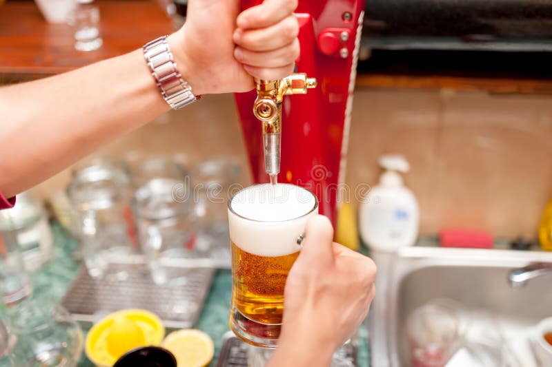 Bartender brewing draft beer in pub, nightclub or restaurant