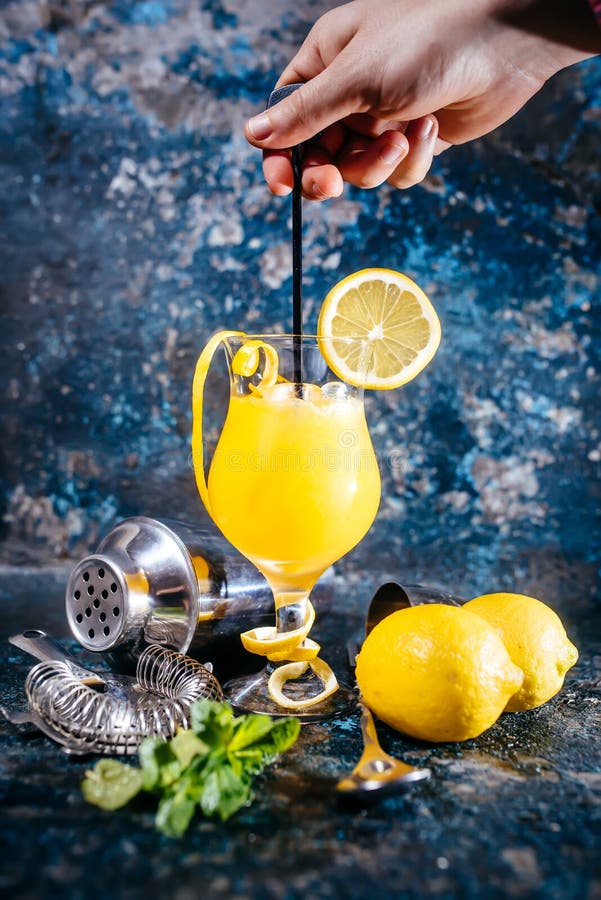 Bartender Preparing Vodka Alcoholic Cocktail with Ice and Mint. Cocktail Drinks Served at