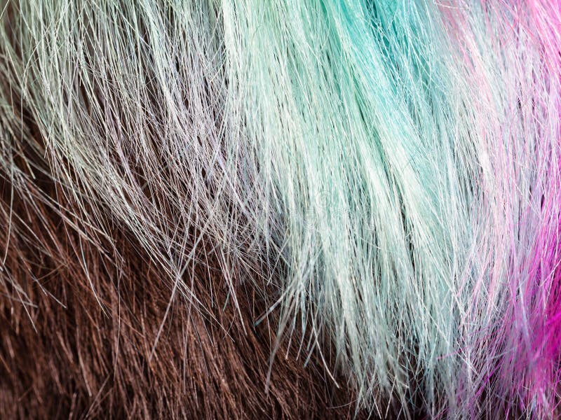 Barwioni pasemka żeńscy hairs zdjęcie royalty free Barwioni pasemka żeńscy hairs zdjęcie royalty free