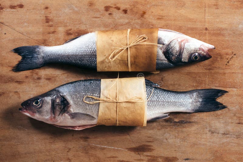 Bas- fisk fotografering för bildbyråer