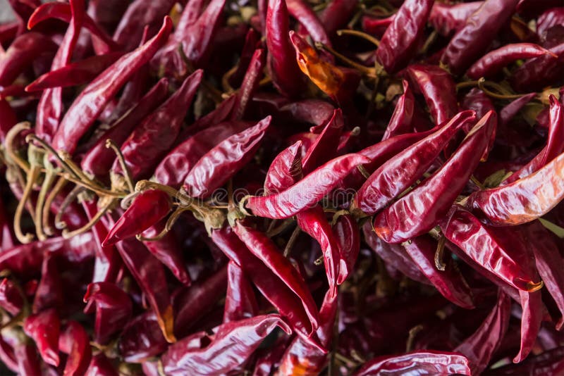 Base culinaire de assaisonnement épicée de cosse de l'Asie de modèle d'épice de piment de fond foncé rouge de claret beaucoup de photo libre de droits Base culinaire de assaisonnement épicée de cosse de l'Asie de modèle d'épice de piment de fond foncé rouge de claret beaucoup de photo libre de droits