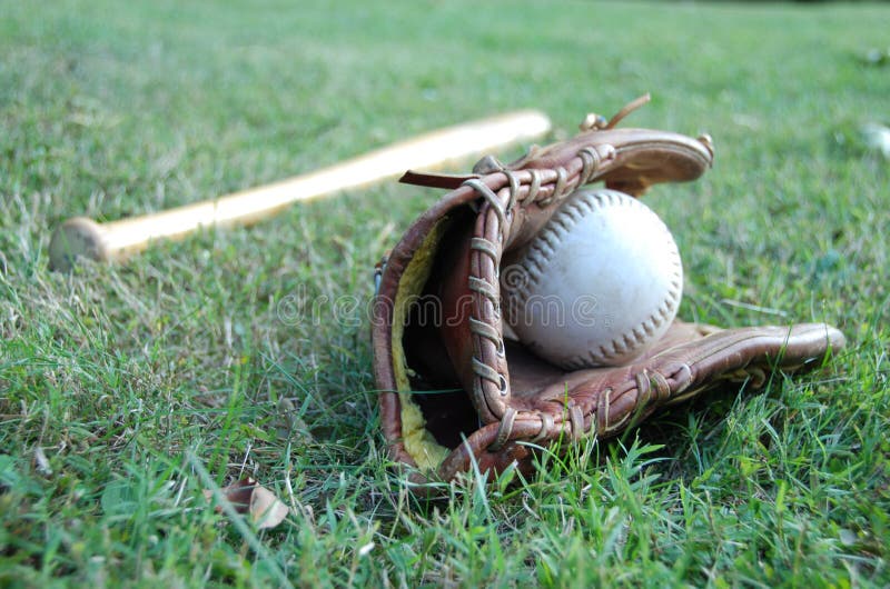 Baseball Bat With Glove Picture. Image 6418492