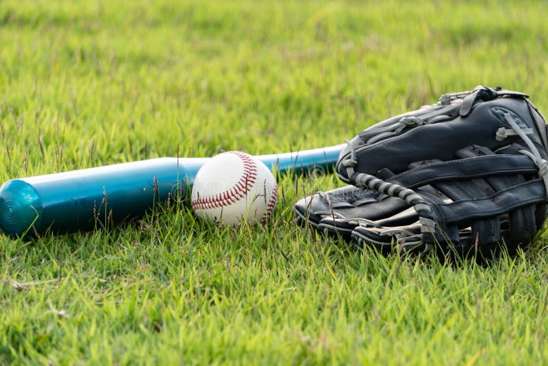 Baseball Equipment on the Lawn Stock Image Image of color, conquering