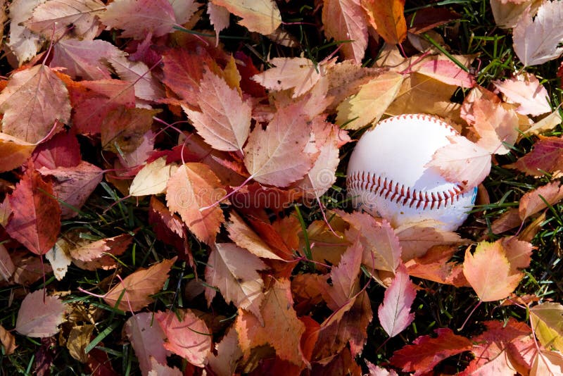 Autumn Baseball stock image. Image of green, fall, baseball 21059283