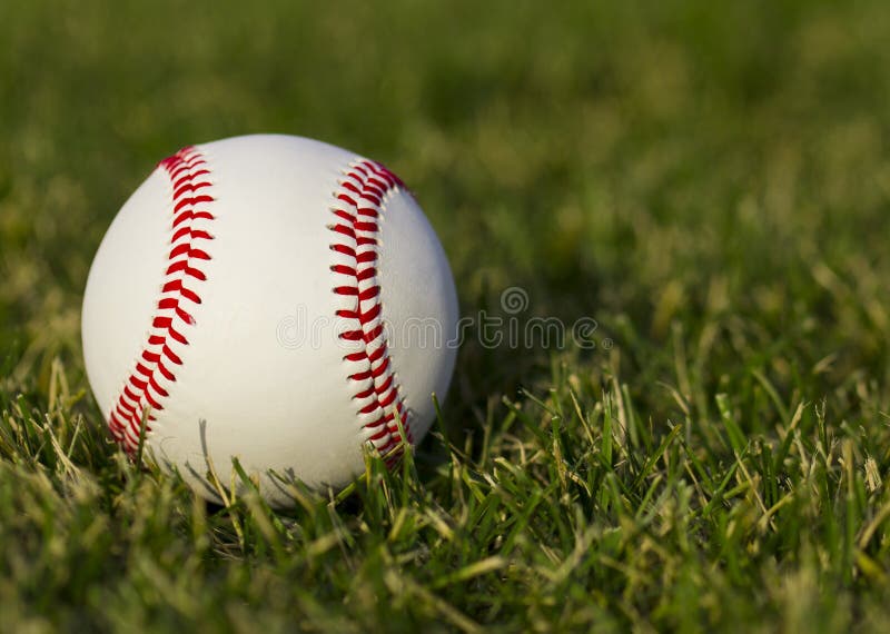 Baseball Field Grass Top View