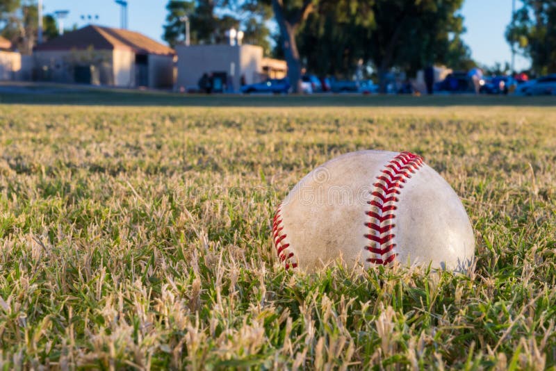 Baseball in a Field at Sunset Stock Photo Image of baseball, game