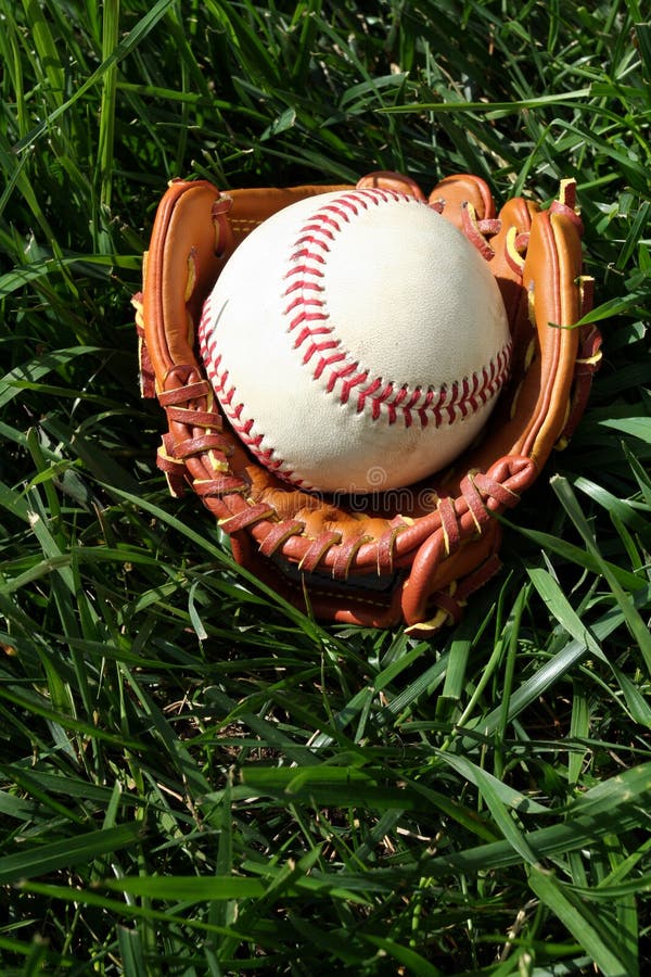 Baseball and Glove stock photo. Image of base, brown, ball 768826