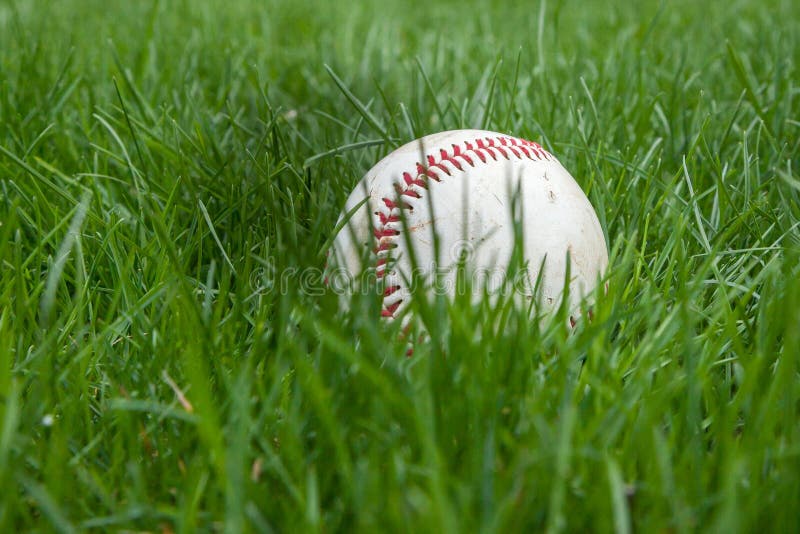 Baseball in Grass stock image. Image of play, recreation 53359187
