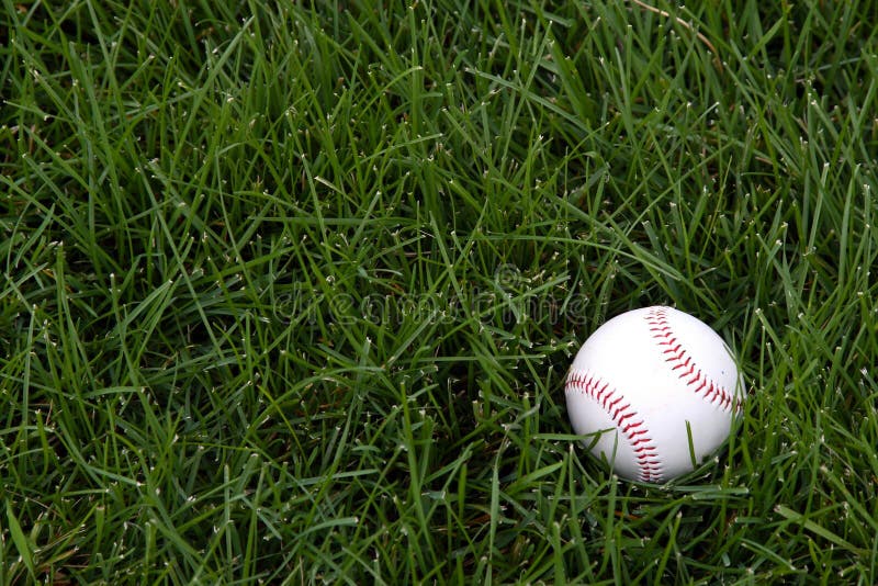 Baseball in Outfield Grass stock photo. Image of base 20249810