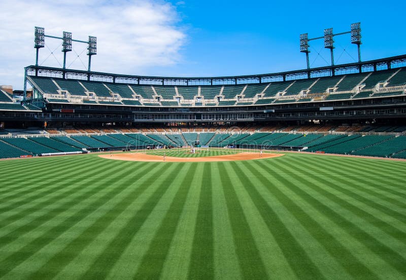 Baseball in Outfield Grass stock image. Image of damage 21442911