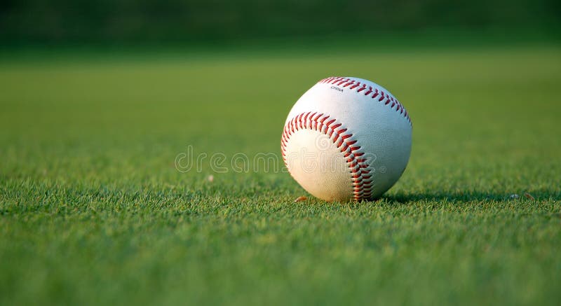 Baseball sul campo