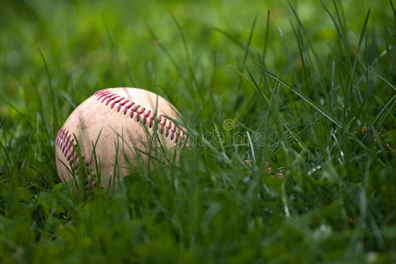 baseball trawa fotografia stock baseball trawa fotografia stock