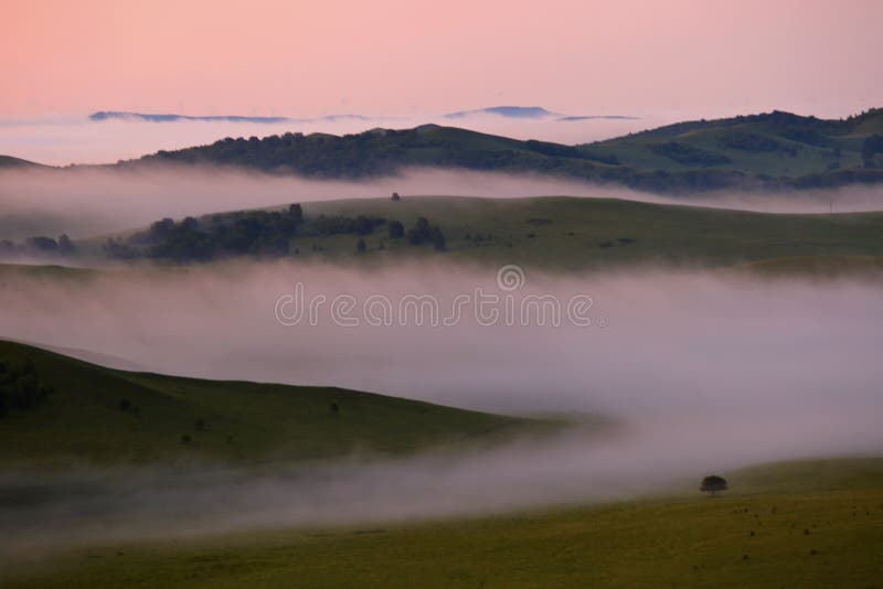 Bashang Grassland of Inner Mongolia Stock Photo - Image of grass ...