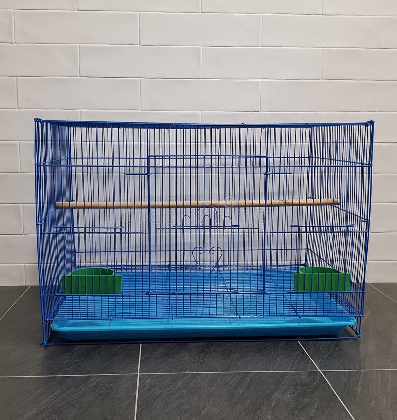 Basic blue bird cage stock image. Image of cage, feeding 139205665
