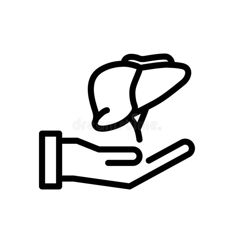 Liver Transplant Icon, Vector Illustration Stock Vector Illustration of internal, donor 235345316