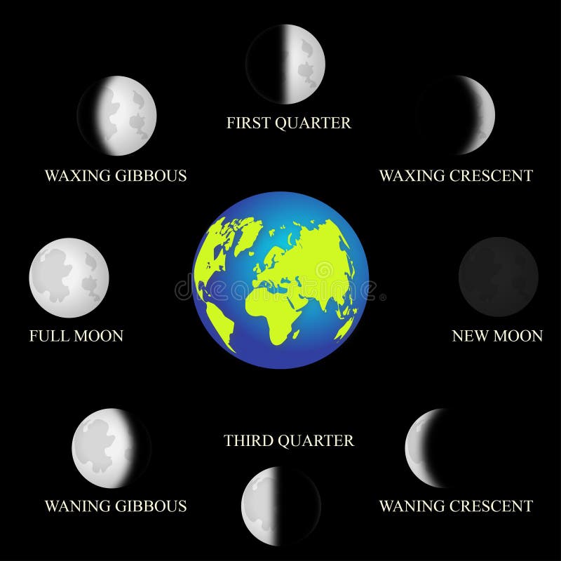 Basic phases of the moon. stock vector. Illustration of light - 88804656