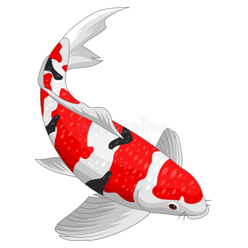 Koi fish design elements stock vector. Illustration of white - 156720139