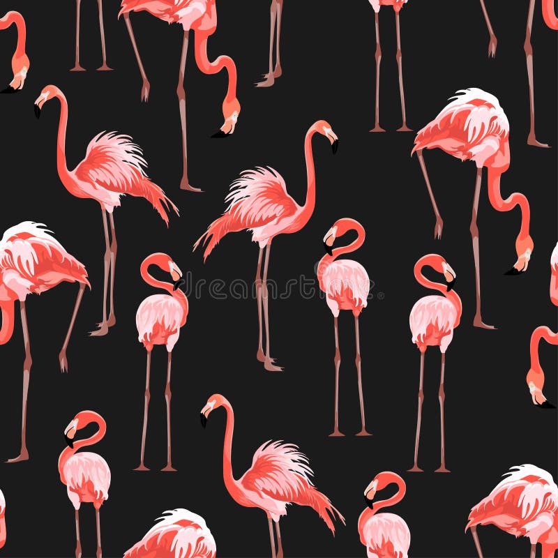 Pink flamingo, black background. Floral seamless pattern. Tropical illustration. stock illustration