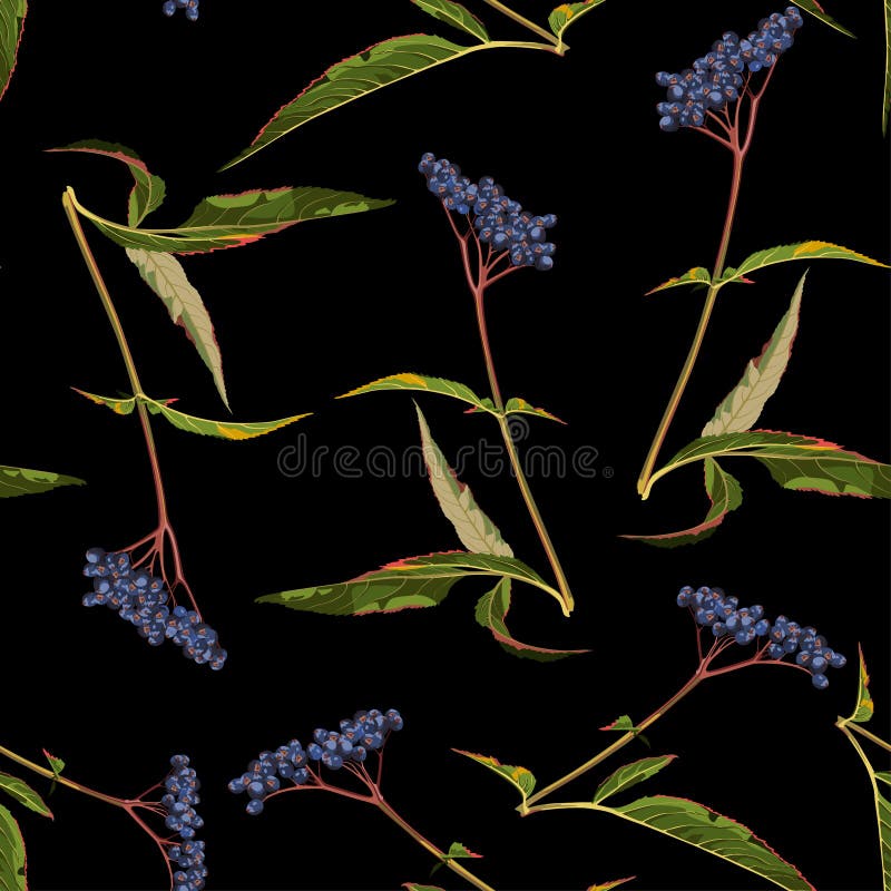 Beautiful dark Autumn seamless pattern with blue berries and leaves. stock illustration