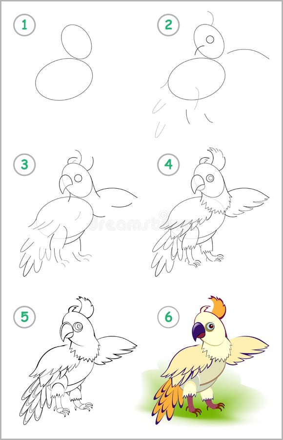 How to Draw a Simple Parrot for Kids