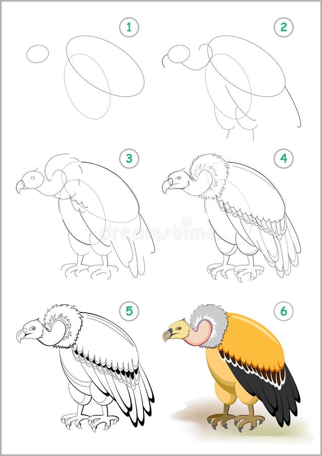 How to draw a vulture  Step by step Drawing tutorials