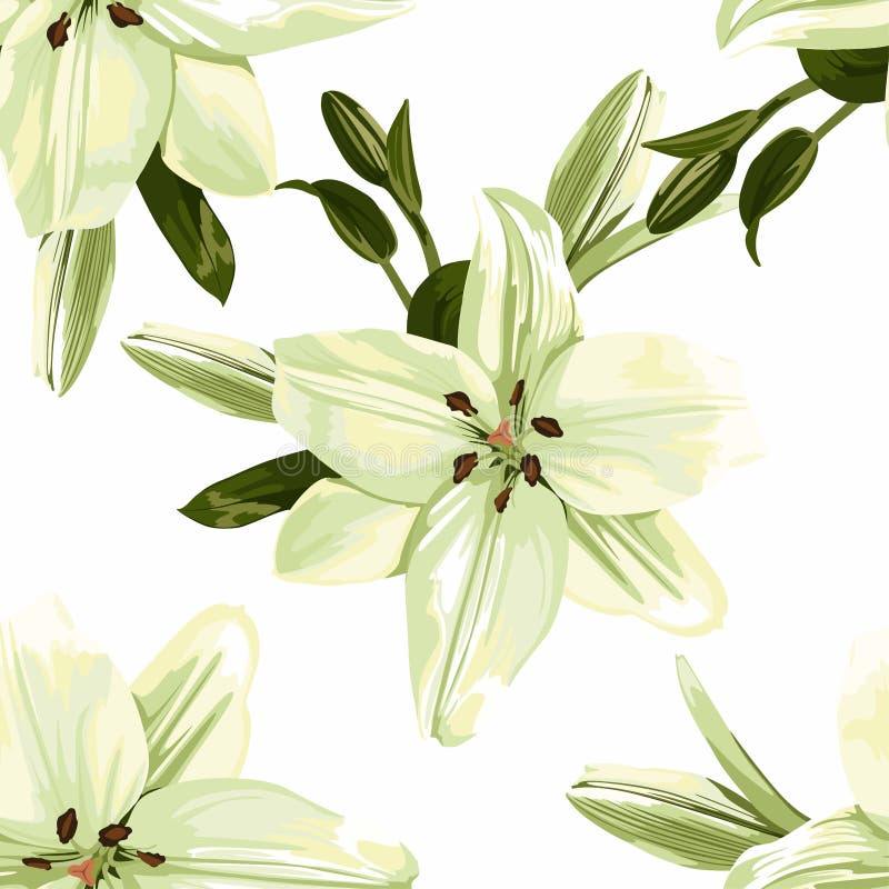 Beautiful Lime Lilies Flowers. Seamless Pattern on White Background Stock Vector Illustration
