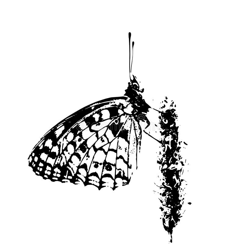 Featured image of post Butterfly On Flower Drawing Realistic : Click the butterfly among flowers coloring pages to view printable version or color it online (compatible with ipad and android tablets).